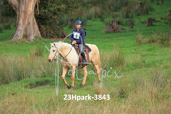 23Hpark-3843