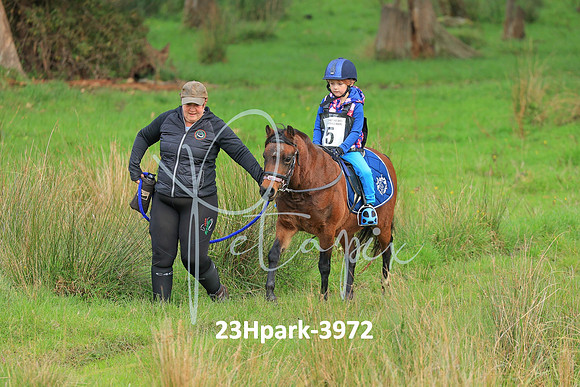 23Hpark-3972