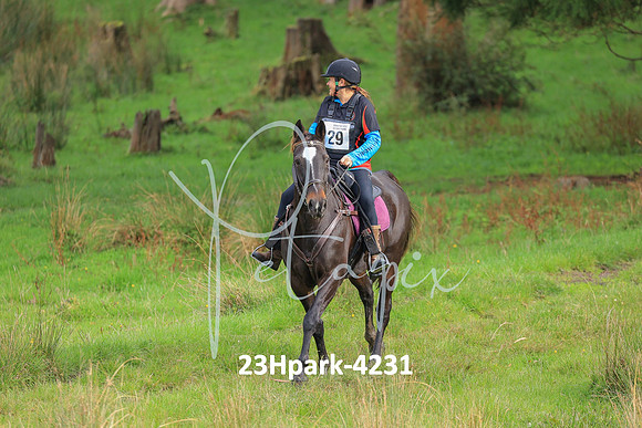 23Hpark-4231