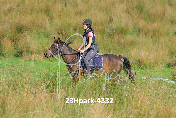 23Hpark-4332