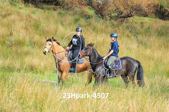 23Hpark-4507