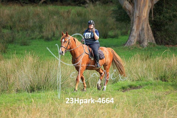 23Hpark-4664