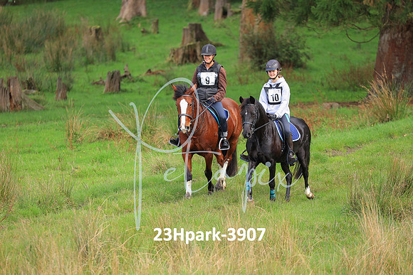 23Hpark-3907