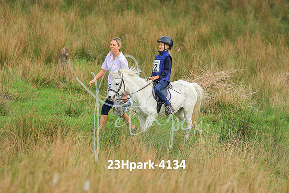 23Hpark-4134