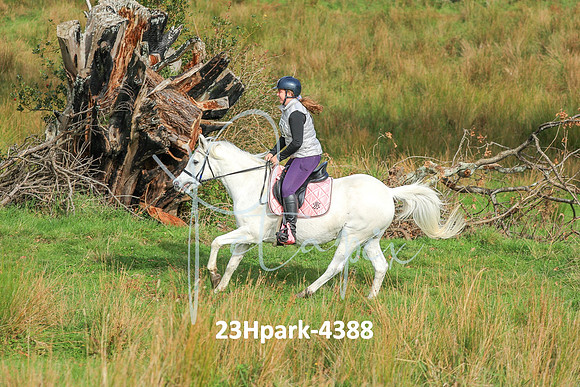 23Hpark-4388