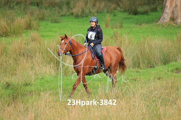 23Hpark-3842