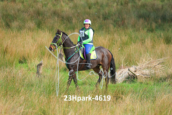 23Hpark-4619