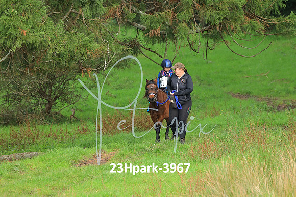 23Hpark-3967