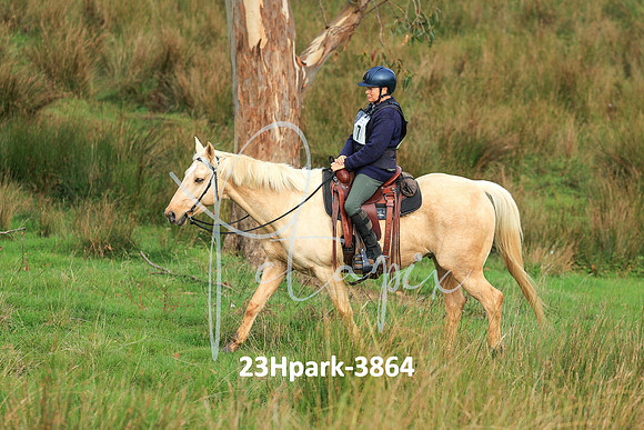 23Hpark-3864