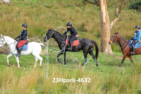 23Hpark-4632
