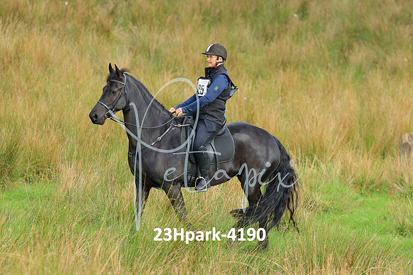 23Hpark-4190