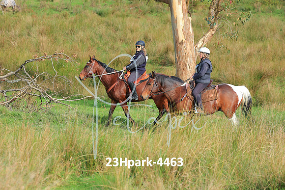 23Hpark-4463