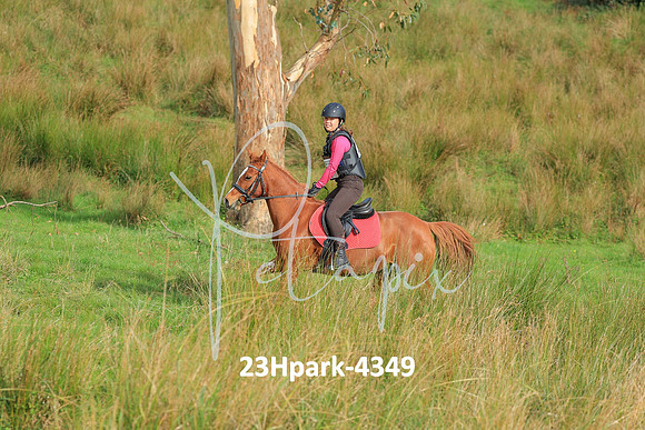 23Hpark-4349