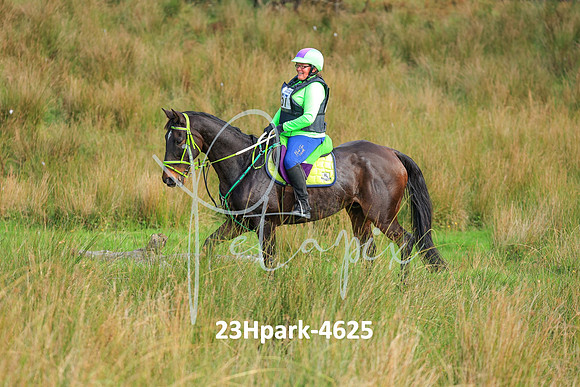 23Hpark-4625