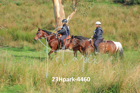 23Hpark-4460