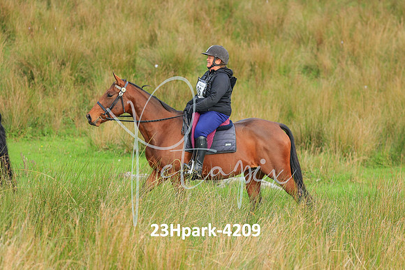 23Hpark-4209