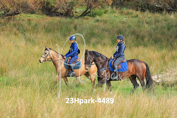 23Hpark-4489