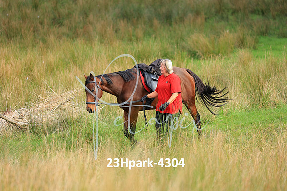 23Hpark-4304