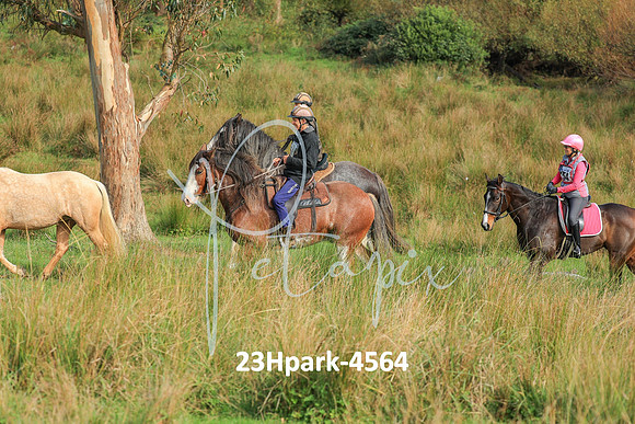 23Hpark-4564