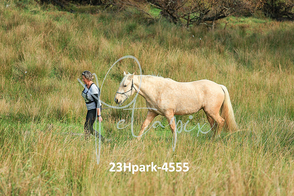 23Hpark-4555