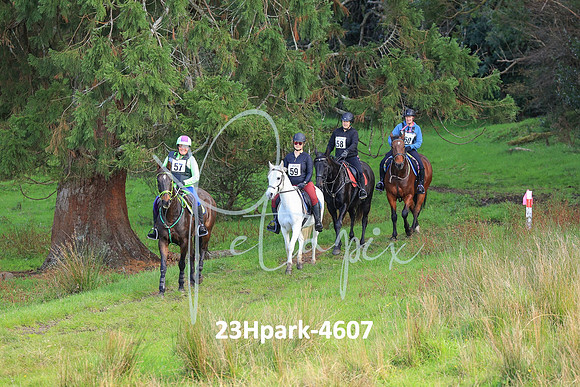 23Hpark-4607