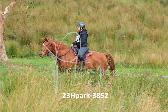23Hpark-3852