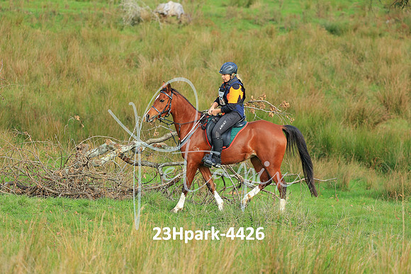 23Hpark-4426