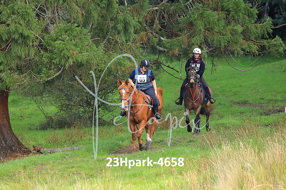 23Hpark-4658