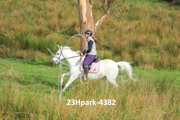 23Hpark-4382