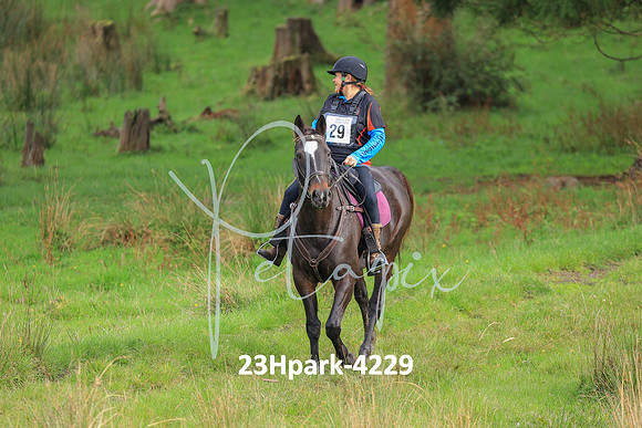 23Hpark-4229