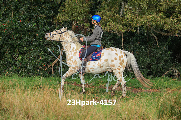 23Hpark-4157