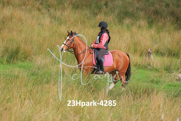 23Hpark-4285