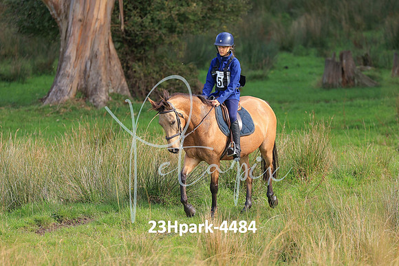 23Hpark-4484