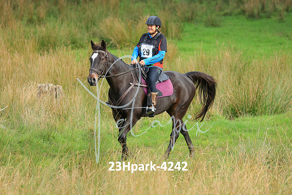 23Hpark-4242