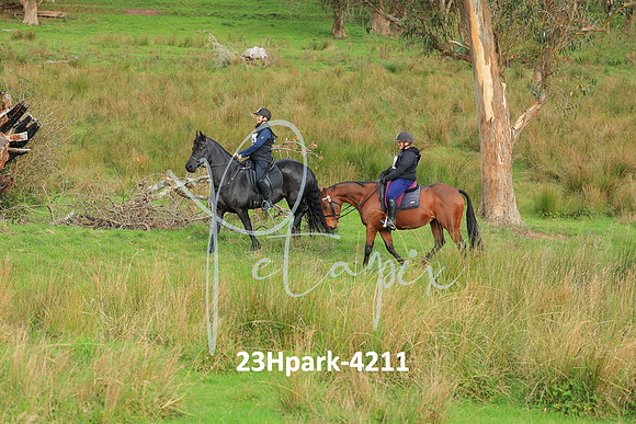 23Hpark-4211