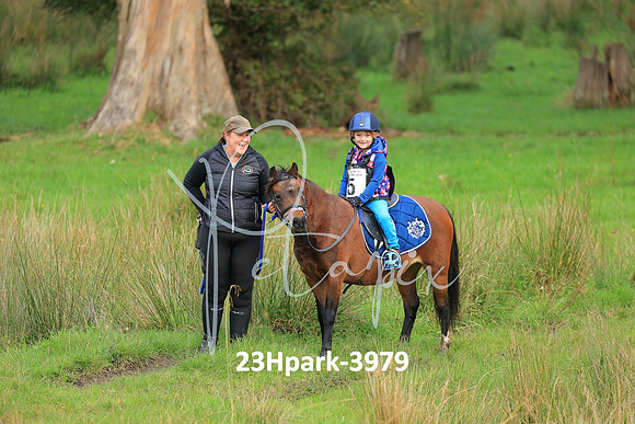 23Hpark-3979