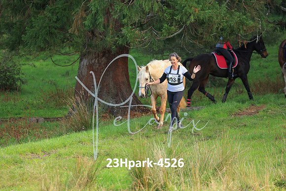 23Hpark-4526