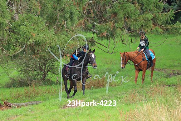 23Hpark-4223