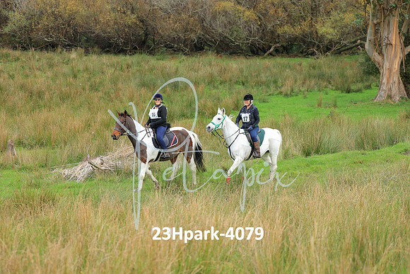 23Hpark-4079
