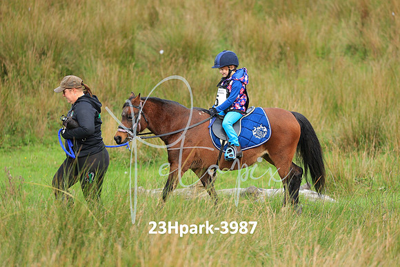 23Hpark-3987