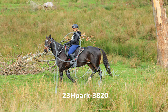 23Hpark-3820