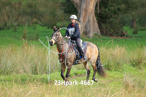 23Hpark-4667