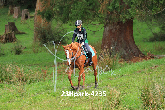 23Hpark-4235