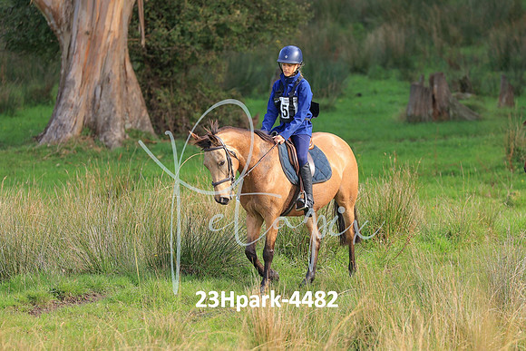 23Hpark-4482