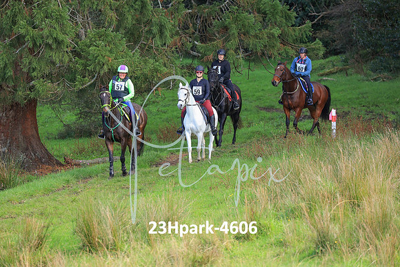 23Hpark-4606
