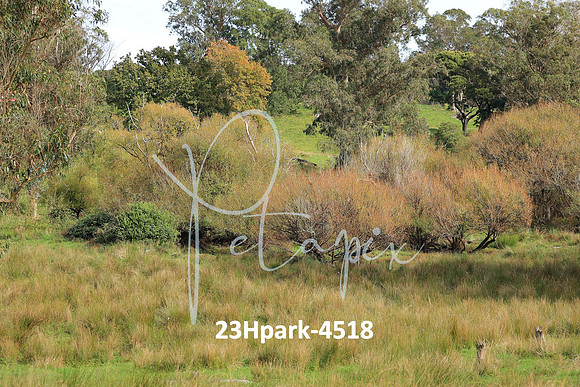 23Hpark-4518