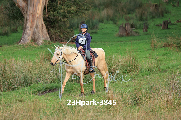 23Hpark-3845