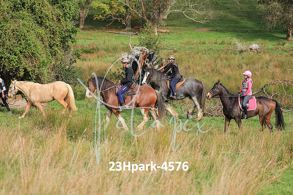 23Hpark-4576