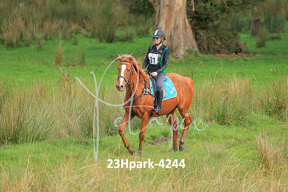 23Hpark-4244