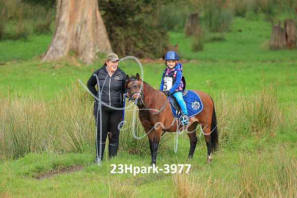 23Hpark-3977